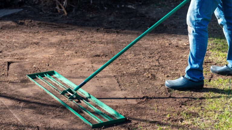 topdressing lawn