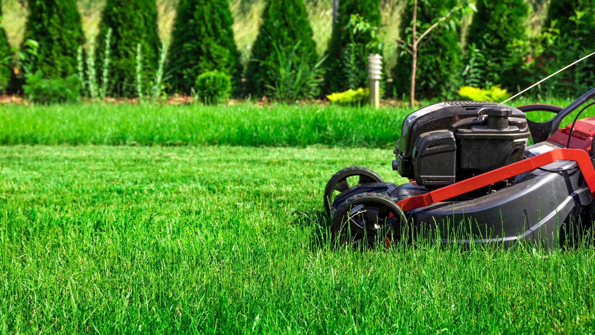 lawnmover on green grass