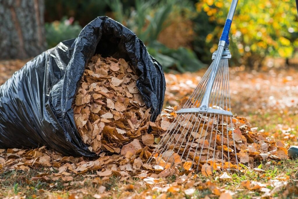 a pile of leaves is packed in a bag