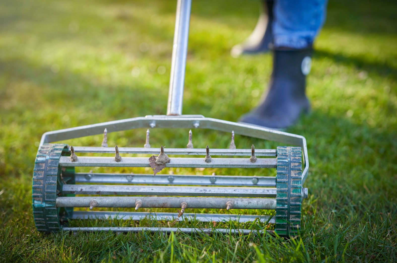 aerator on the green lawn