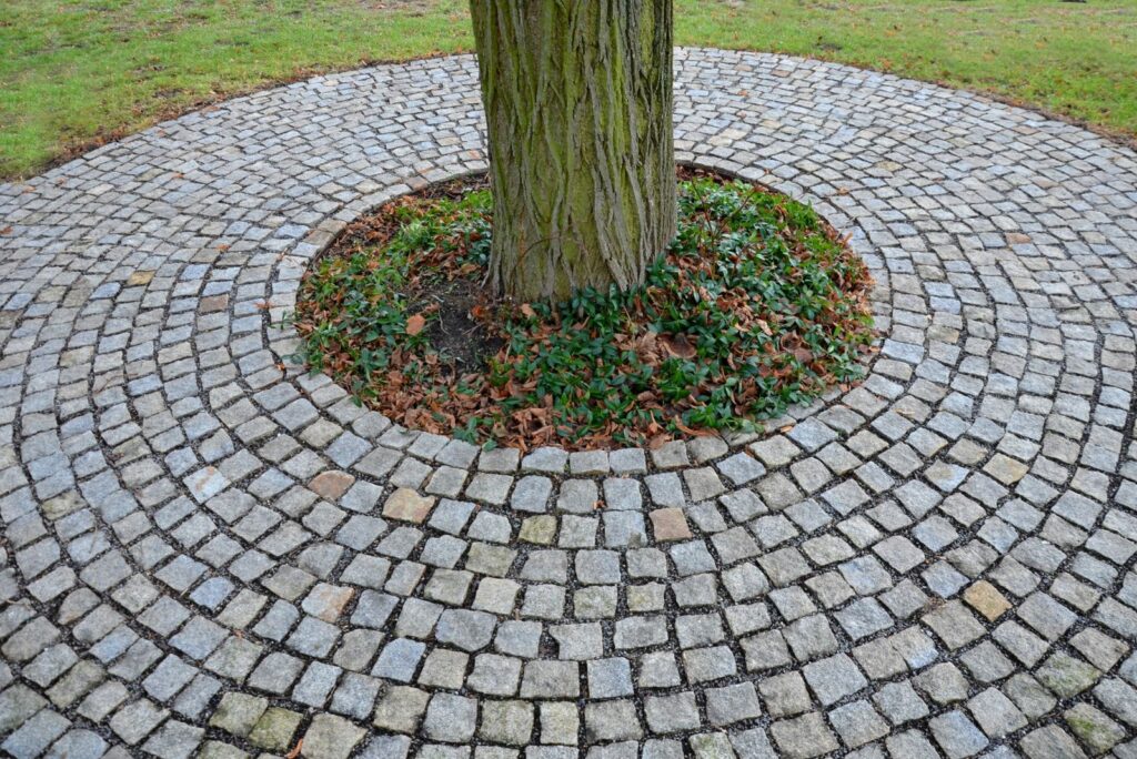 beautifully arranged stones around the tree