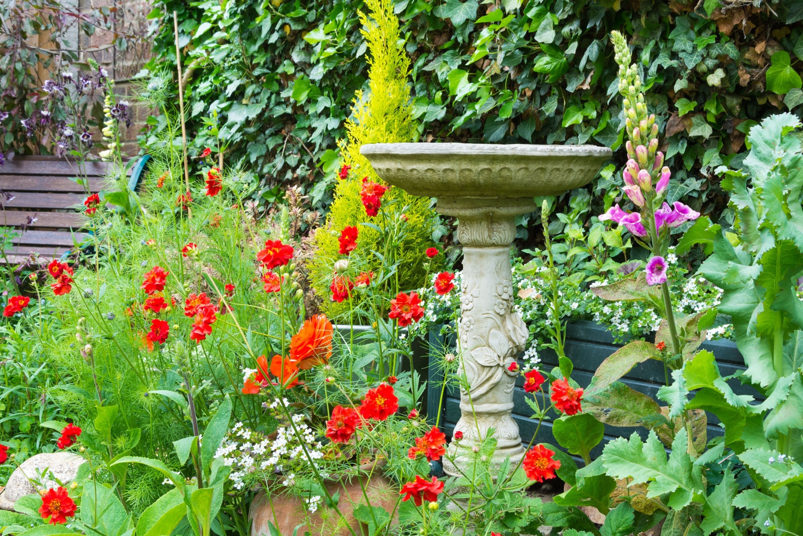 bird bath and flowers in garden