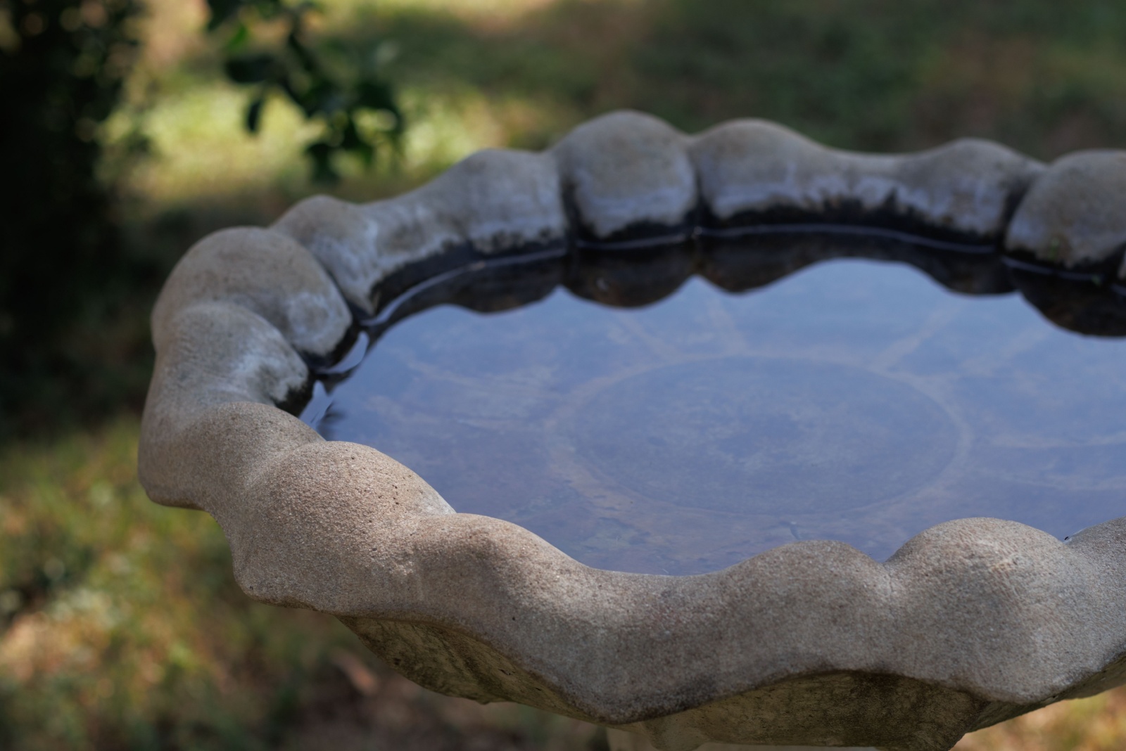 bird bath in shade