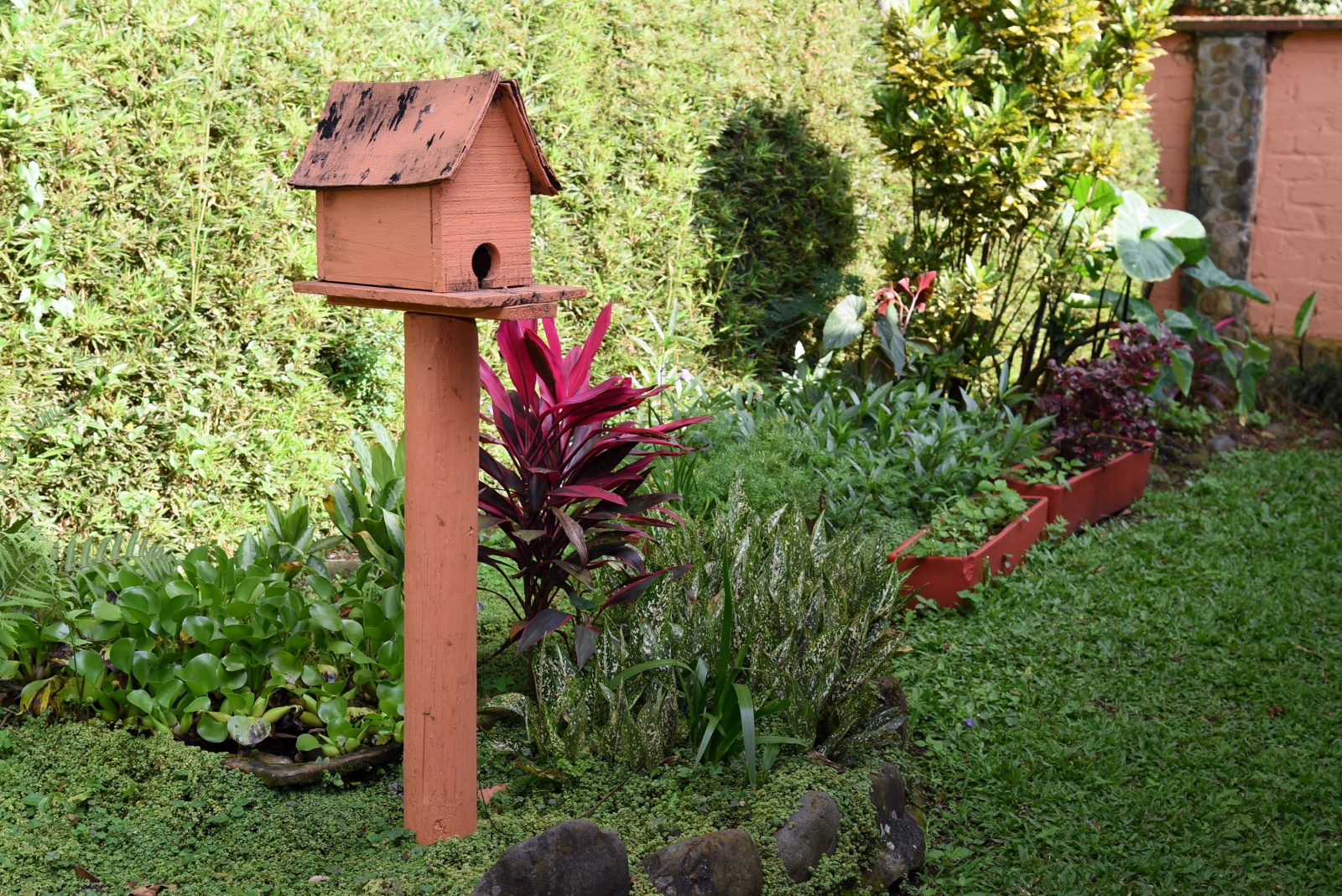 birdhouse in garden