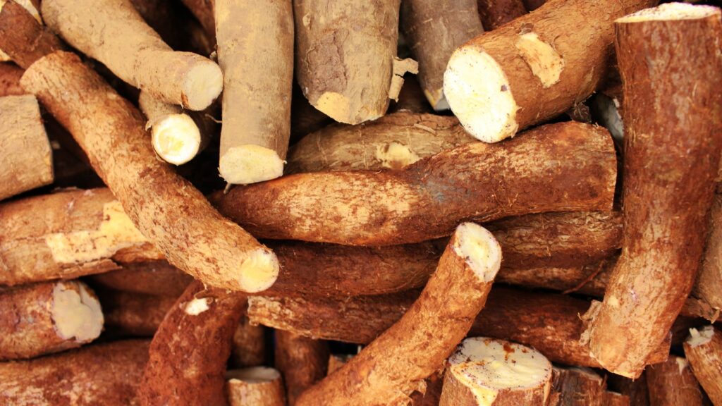 burdock root