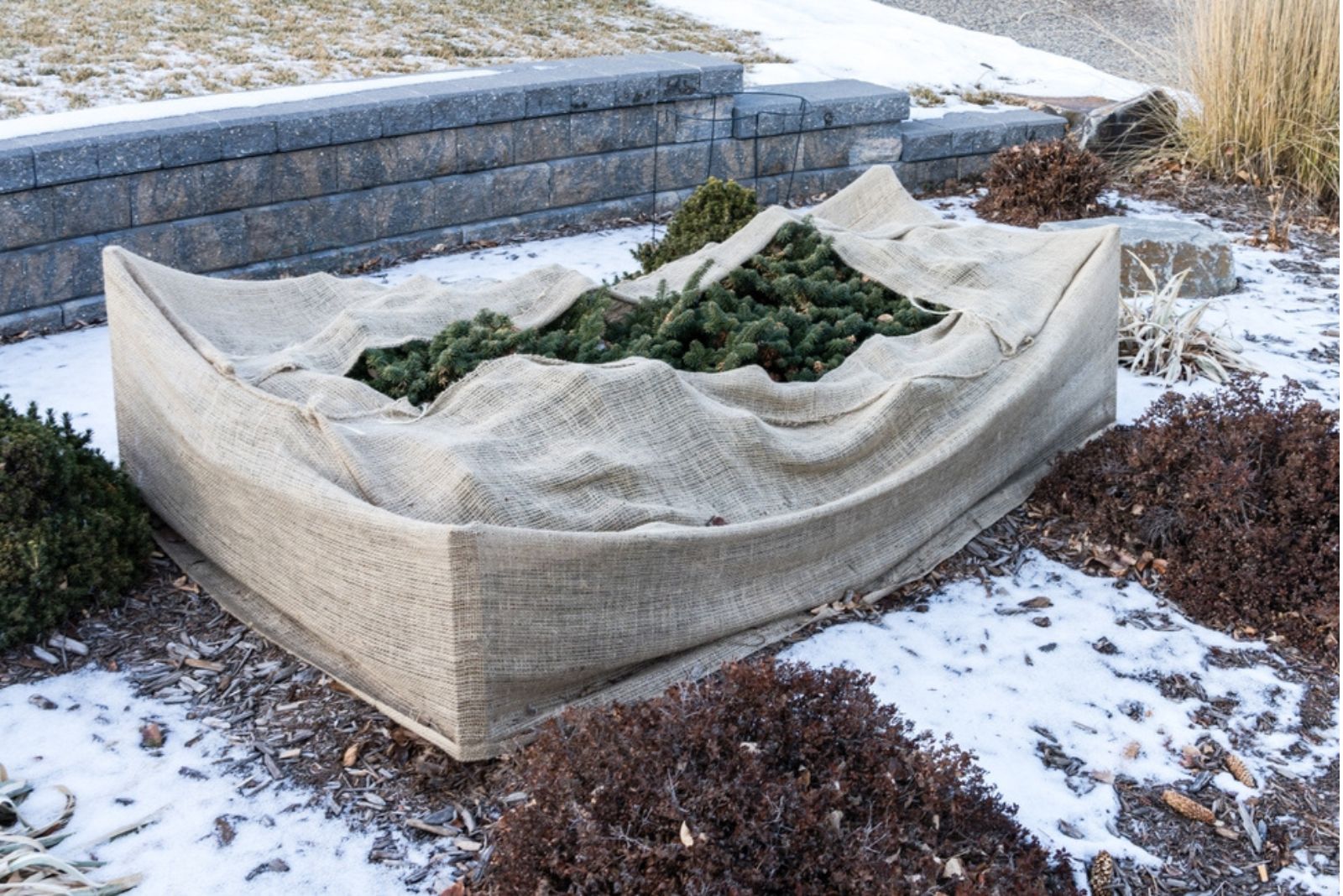 burlap on the outdoor plant