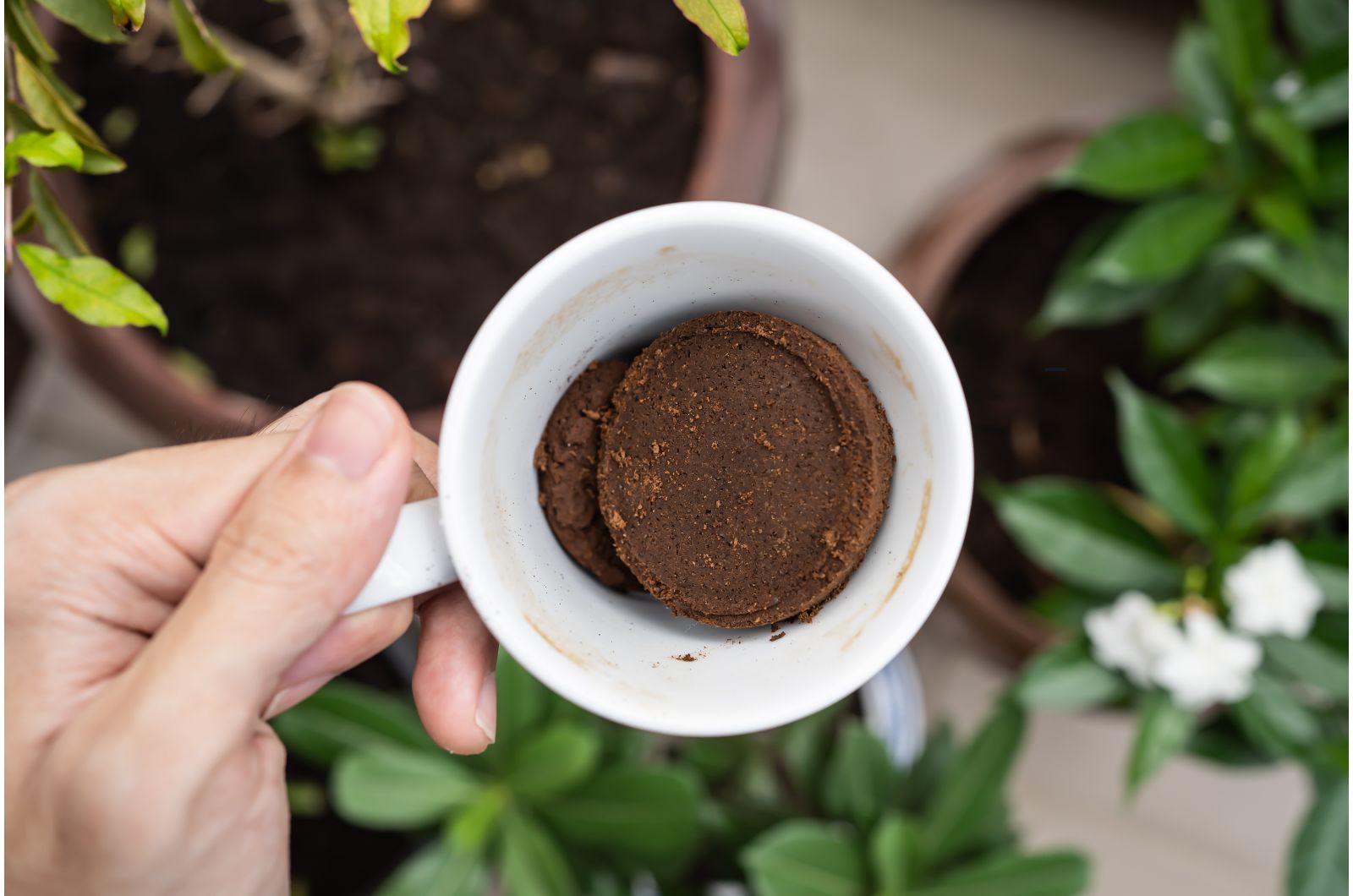 coffee grounds in a cup