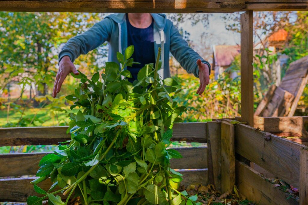 compost bin