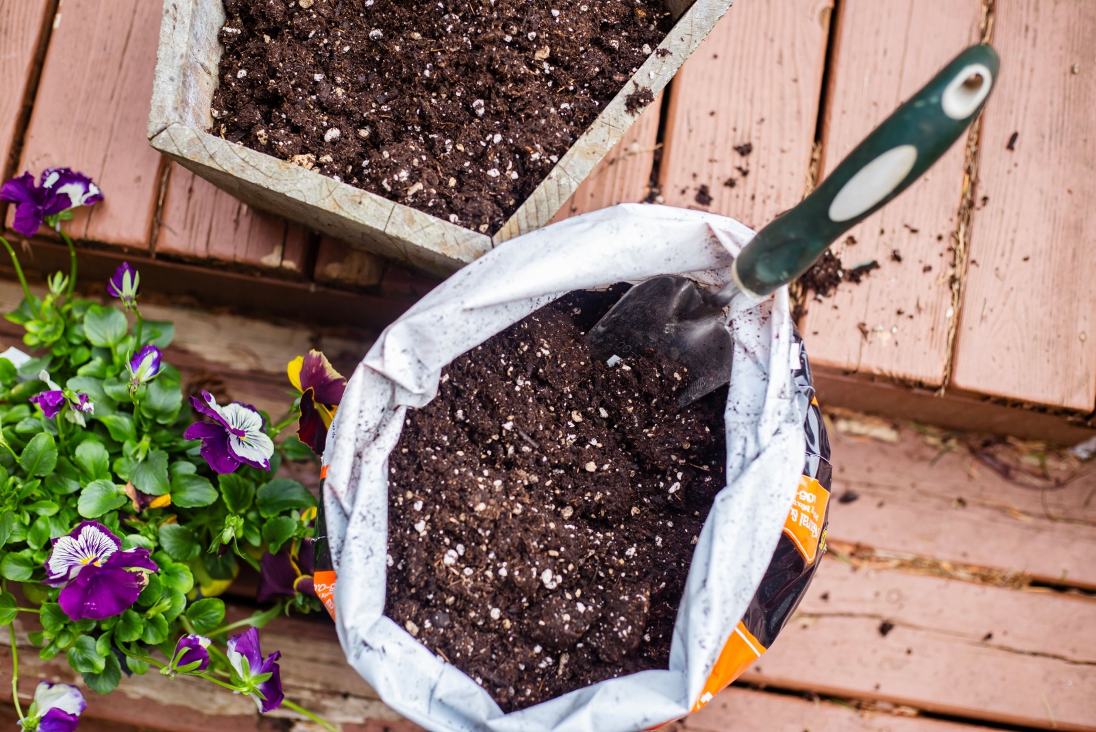 fertilizing pansies