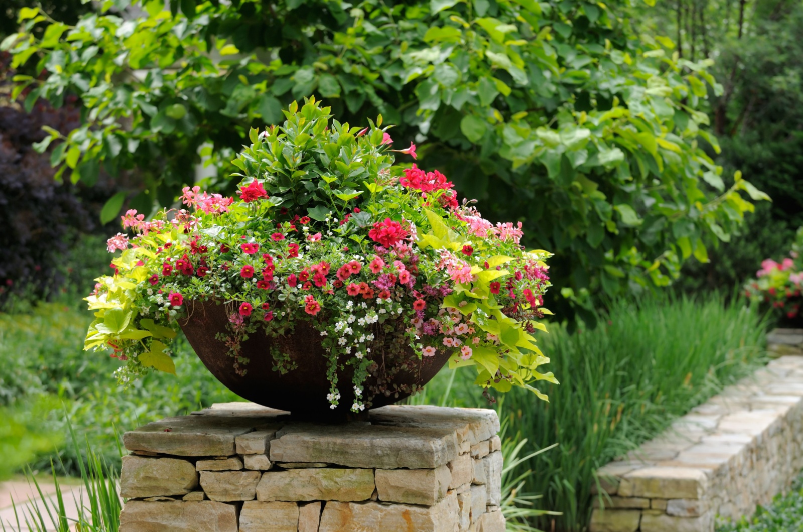 flowers in a pot in garden