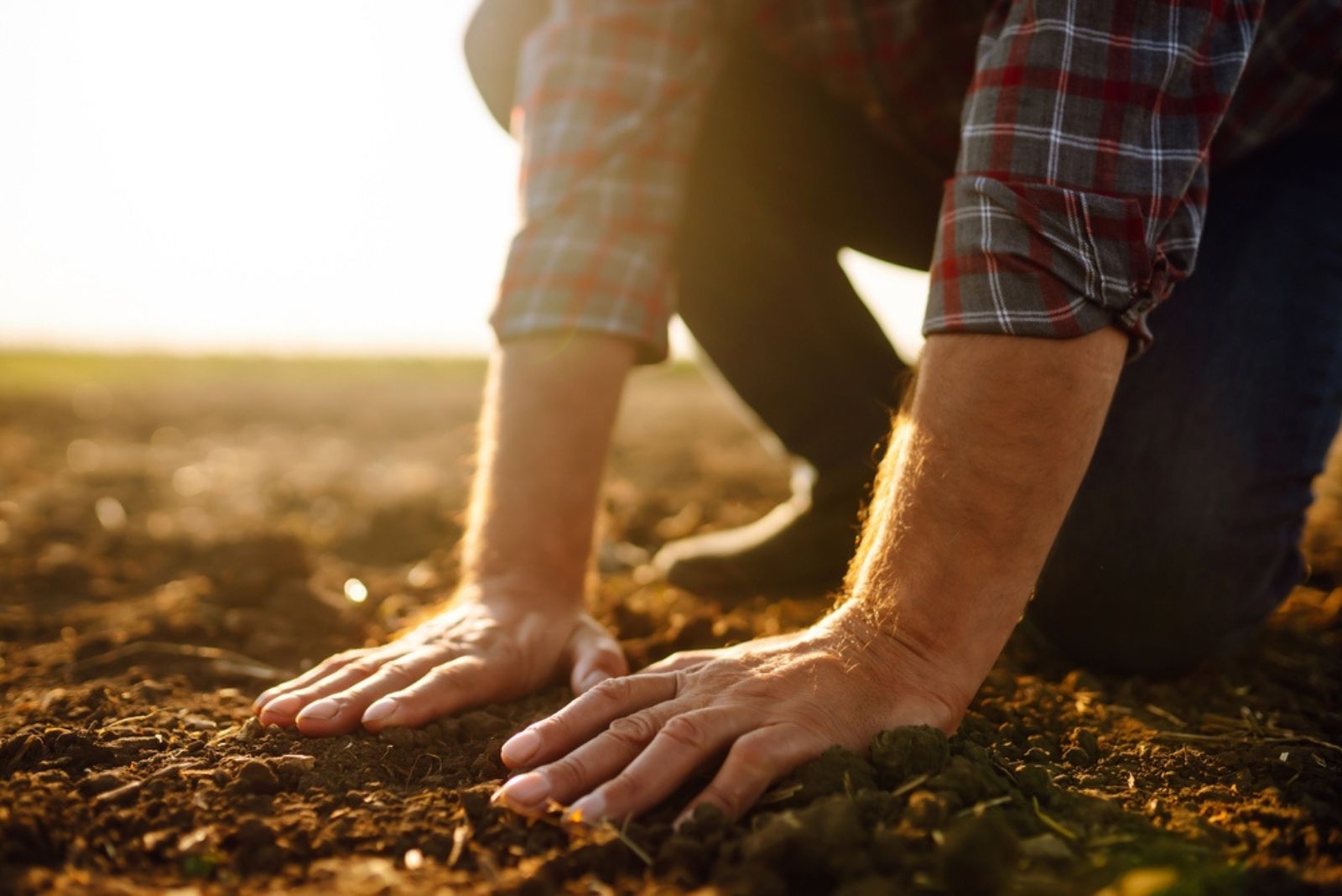 gardener flatten the soil