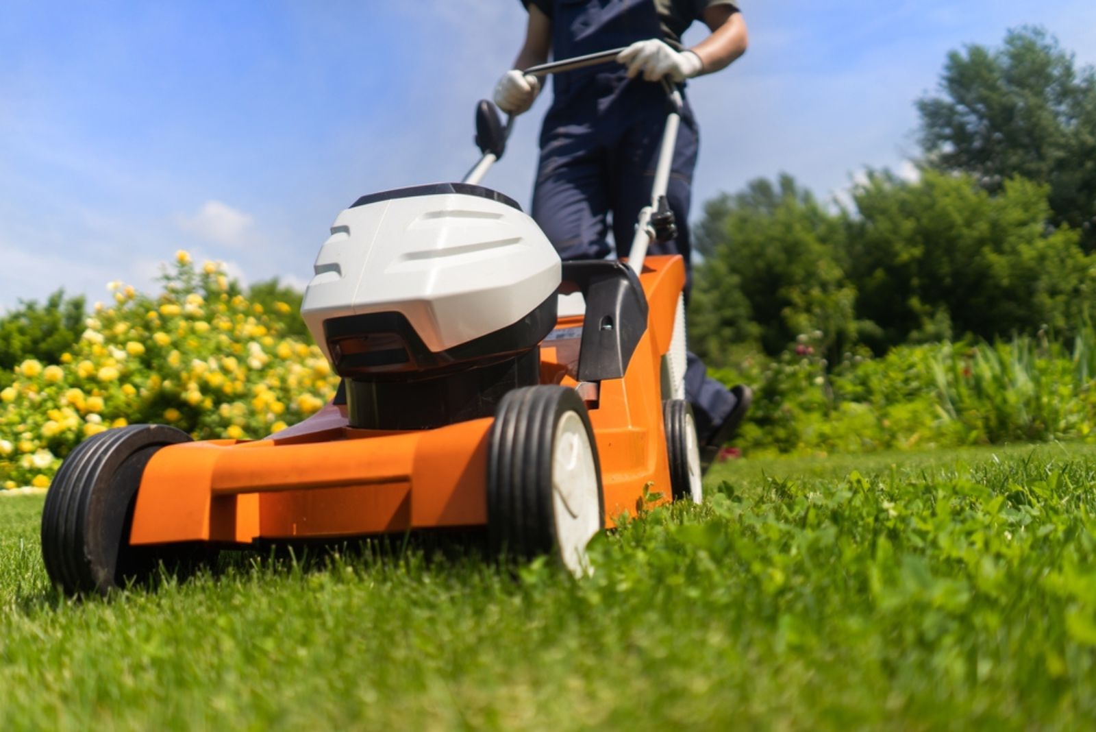 gardener mowing the grass