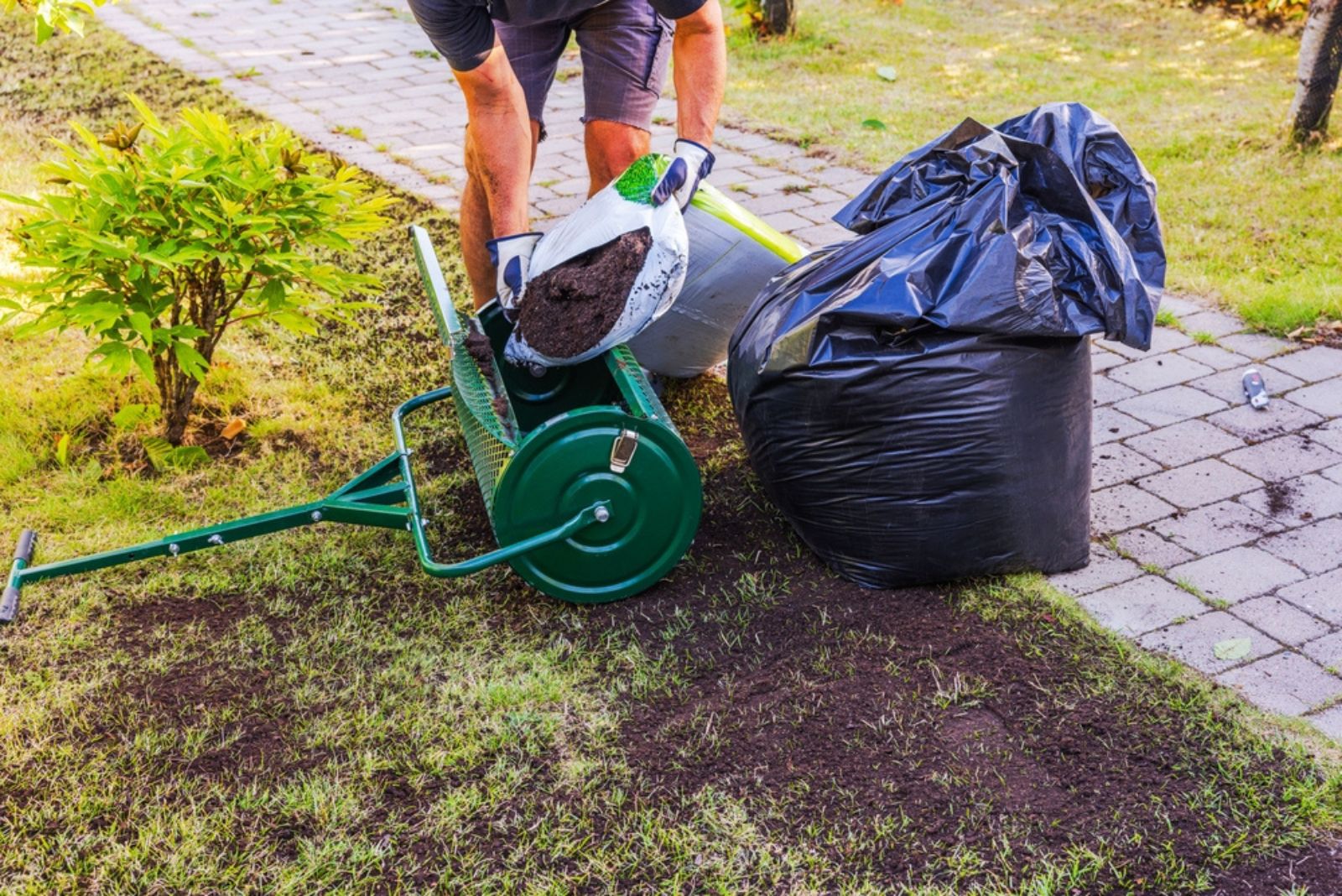 gardener topdressing the lawn