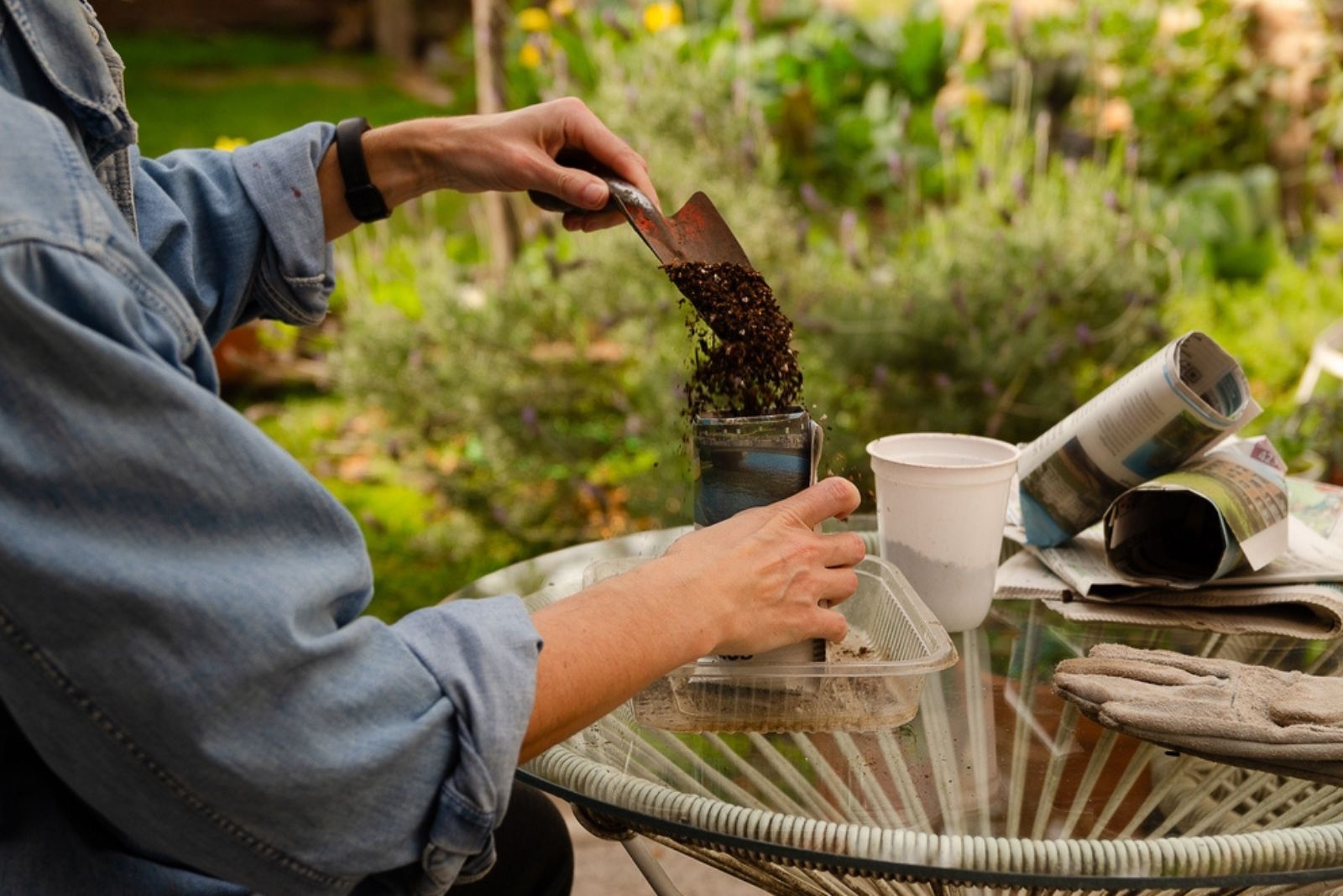 gardener using old newspaper for plants