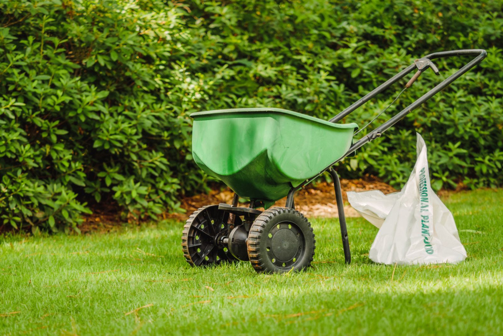 grass seed spreader and bag of lawn fertilizer