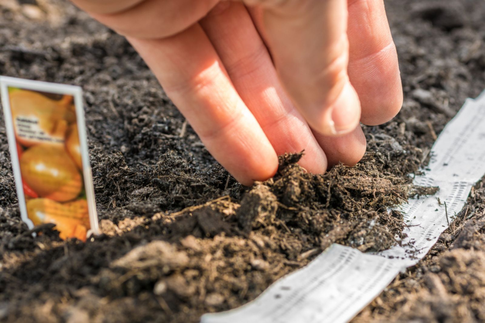 gardener putting tape on soil