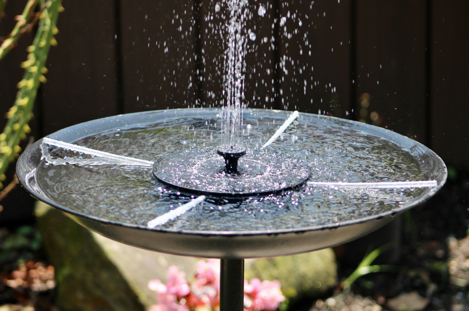 hummingbird fountain in garden