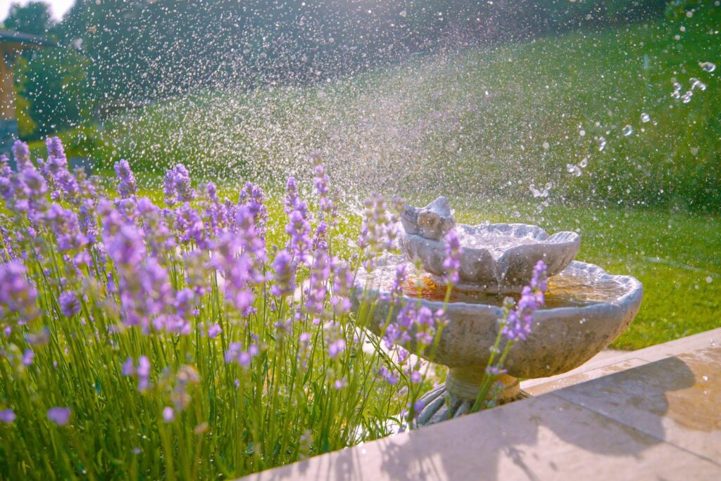 lavender garden fountain