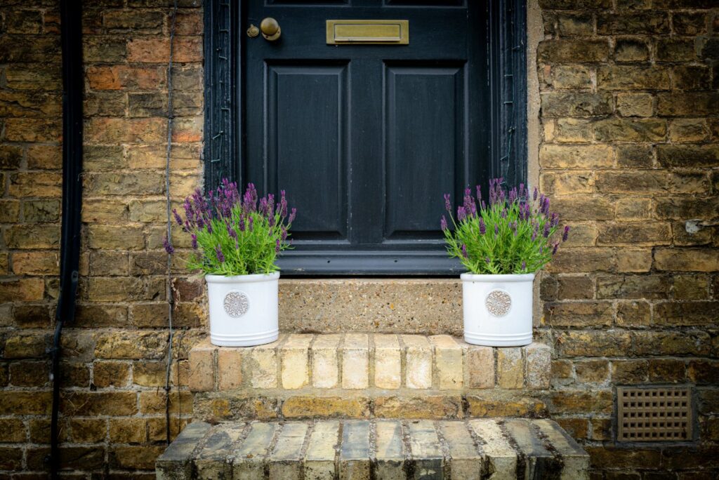 lavender in pots in front of the door