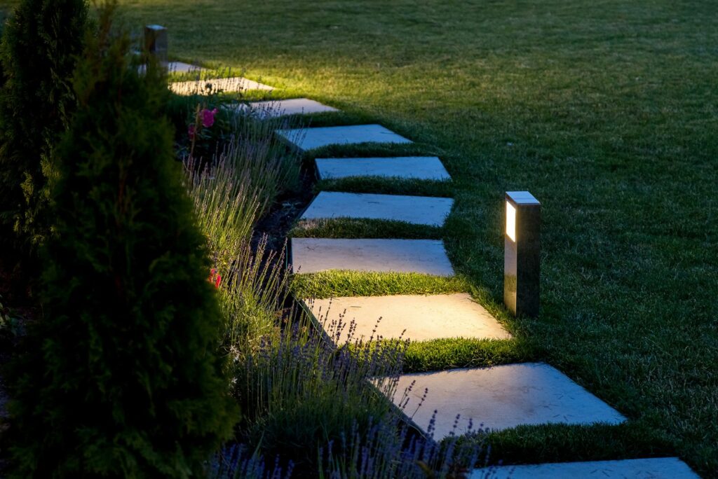 lavender planted along a stone path