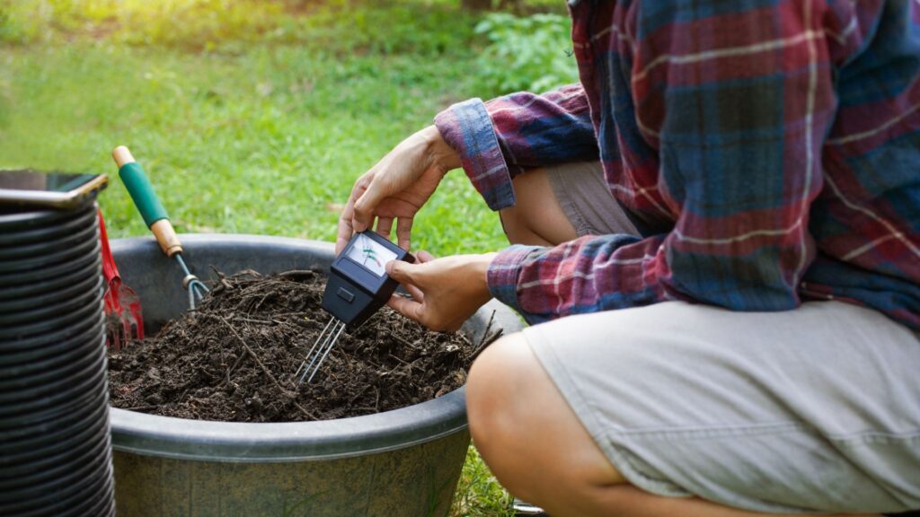 lawn soil testing
