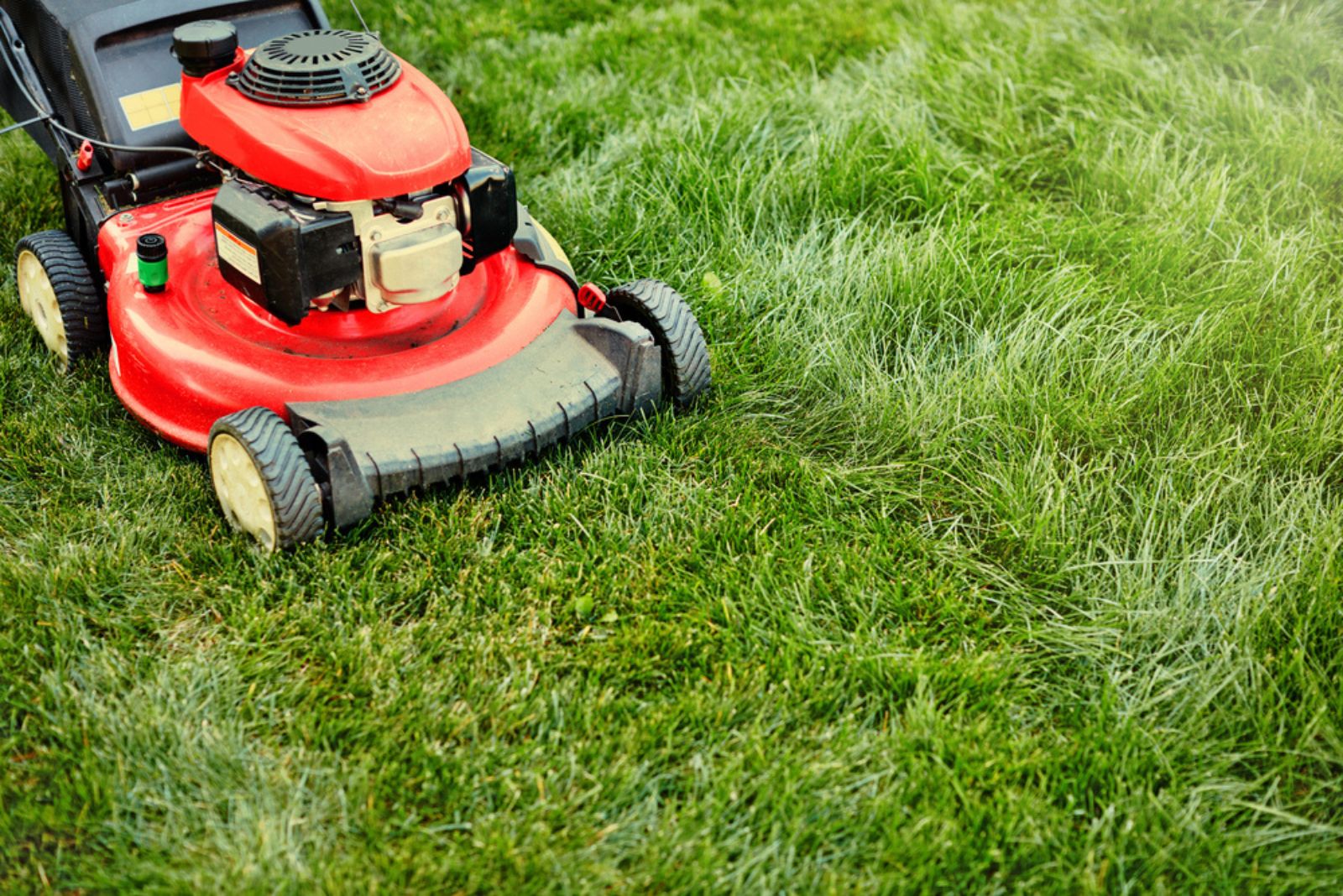 lawnmover