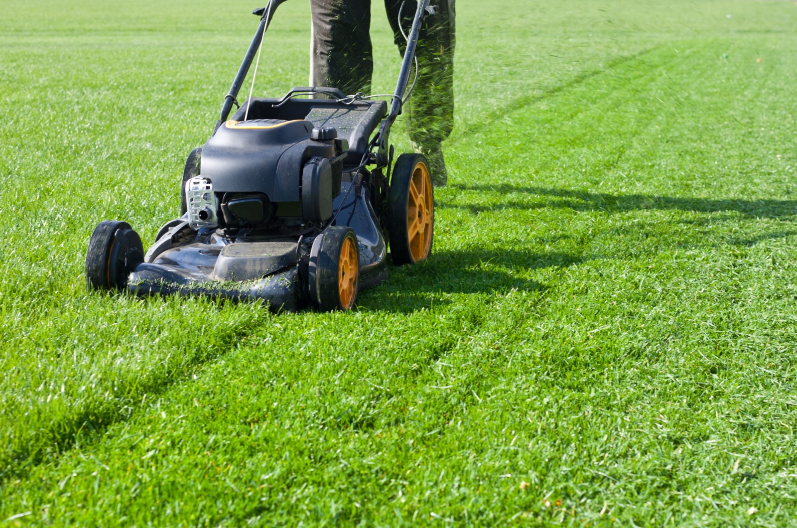 mowing the lawn