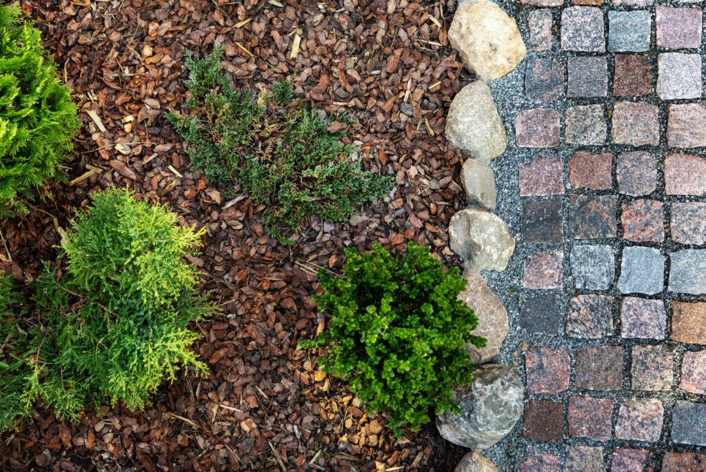 mulch with stone path