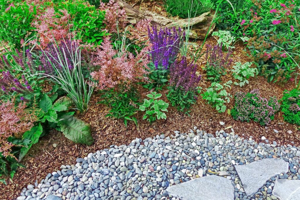 pebbles around flowers