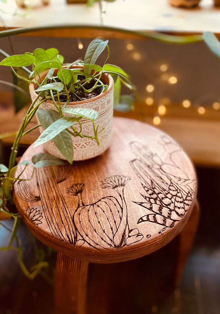 plant in pot on the wooden stand