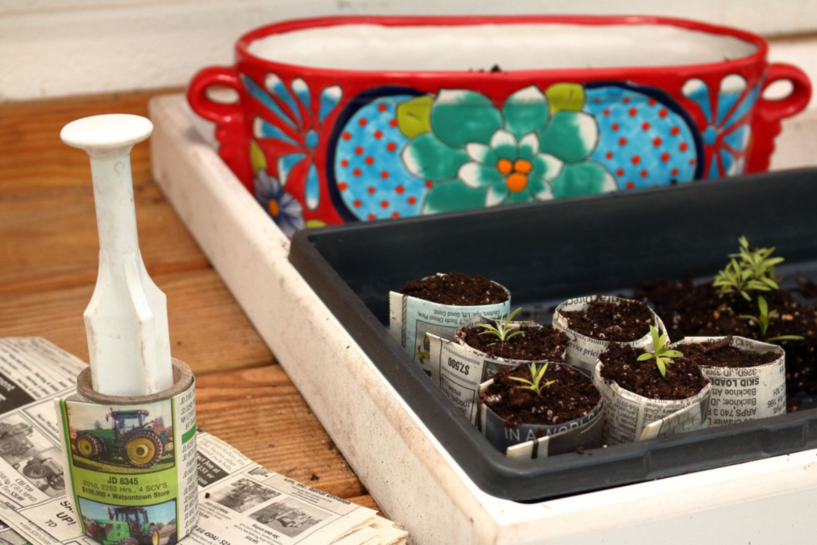 plants in newspaper pots