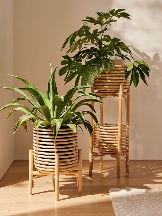 plants on wooden stands