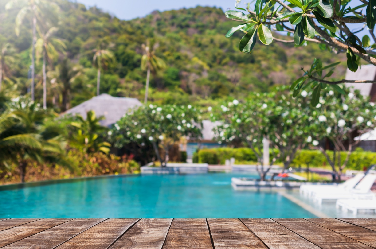 pool and wooden deck