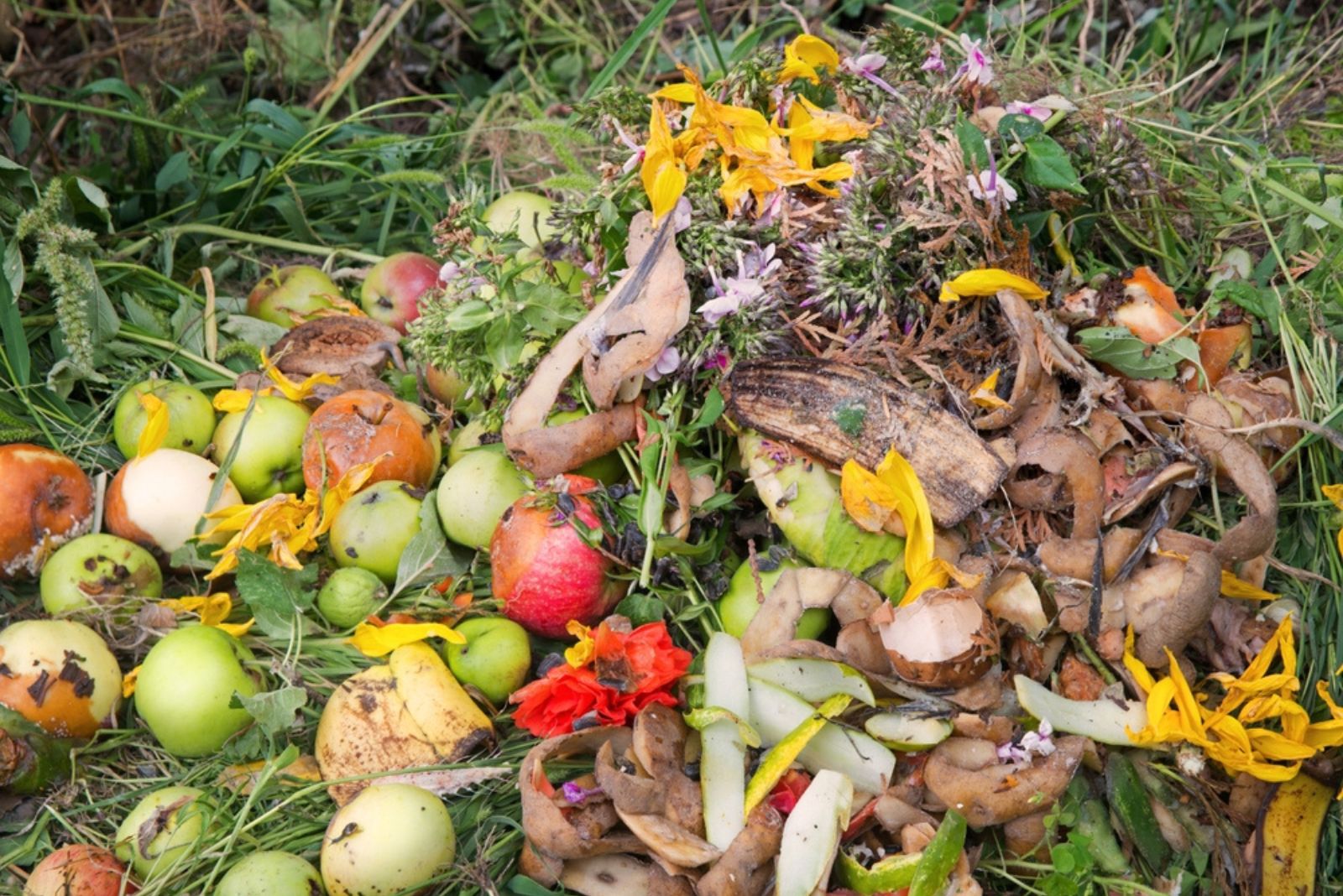 potato skin mulch