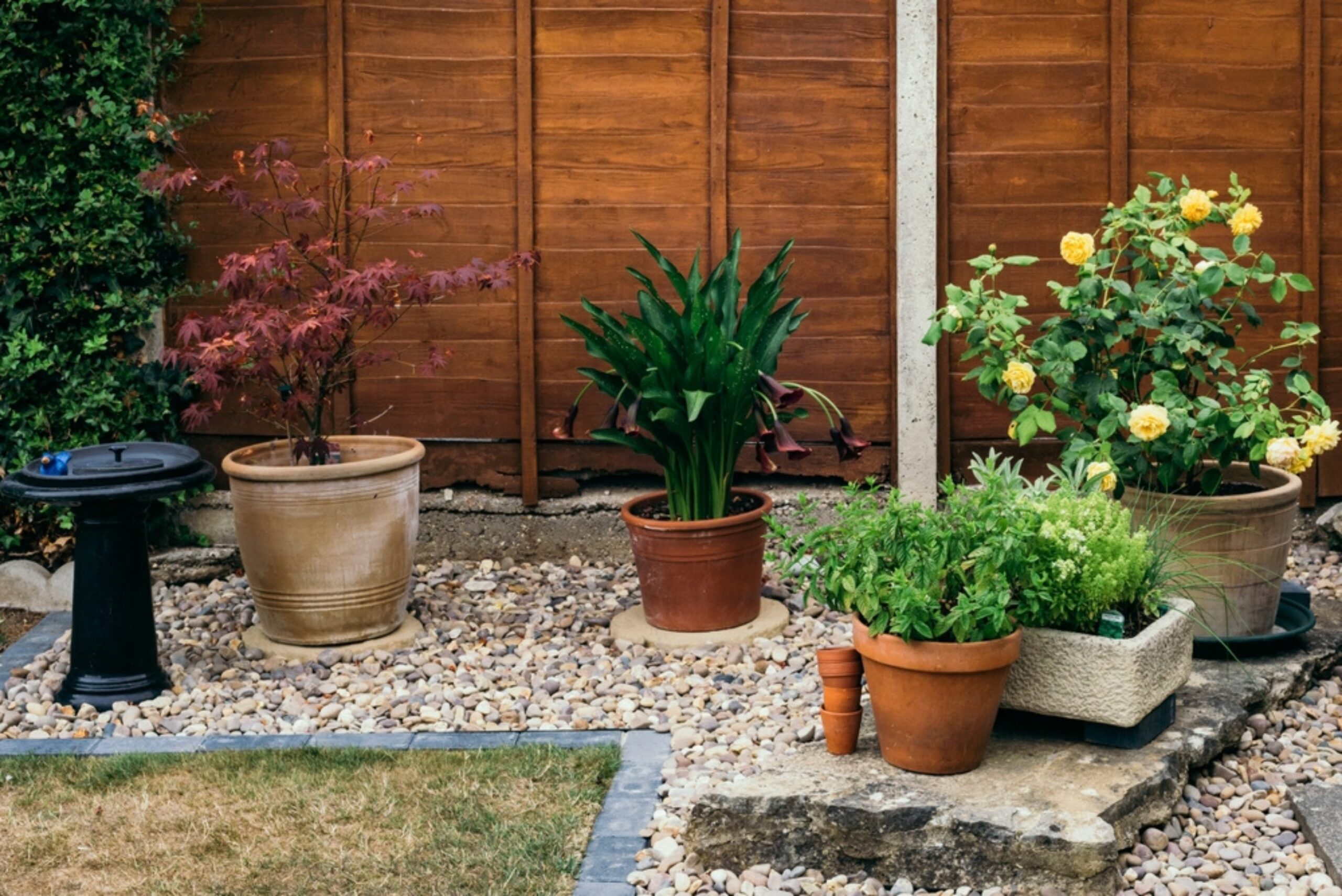 potted plants outdoors