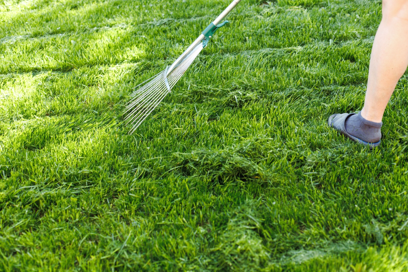 raking the lawn