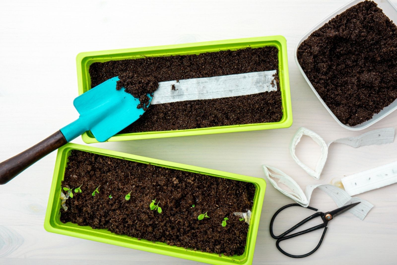 seeds in soil with tape and sccisors