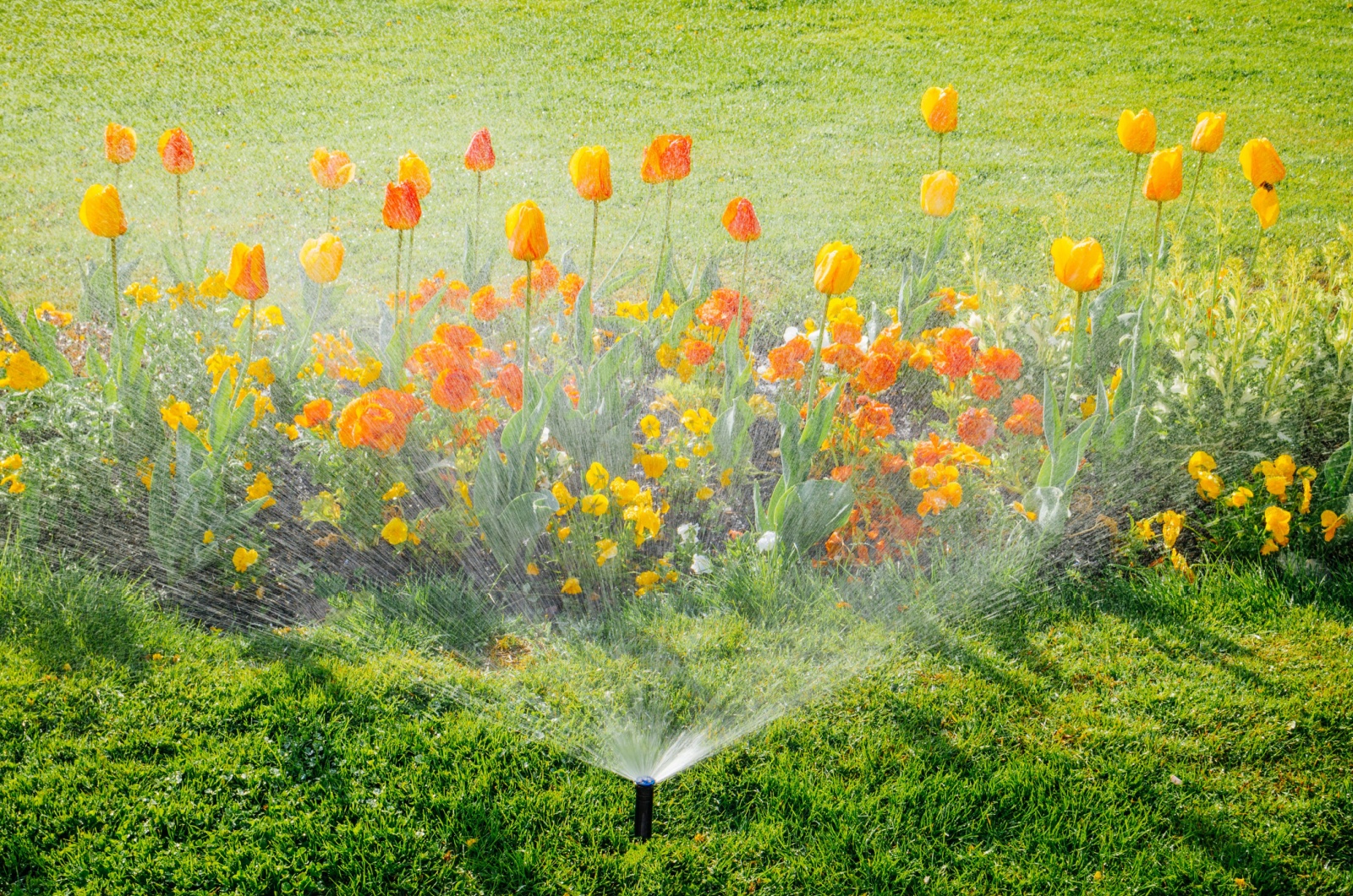 smart sprinkler system