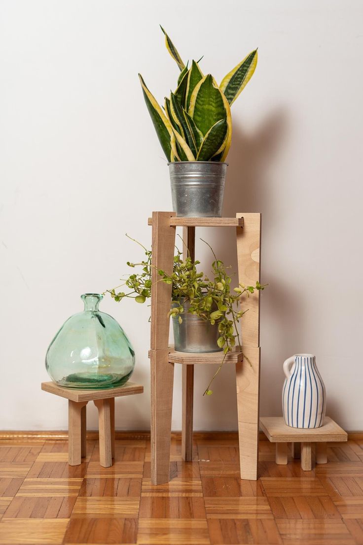 snake plant and vases on a plant stand