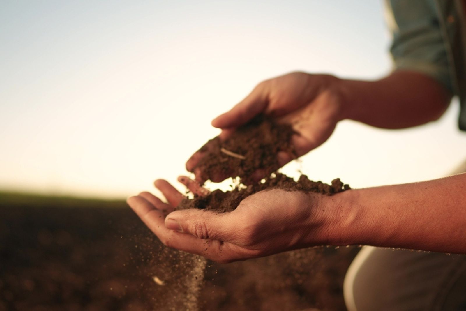 soil in hands