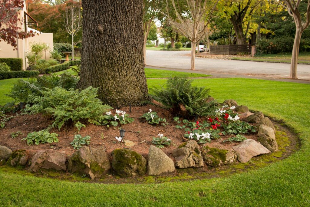 stones fenced around flowers and trees