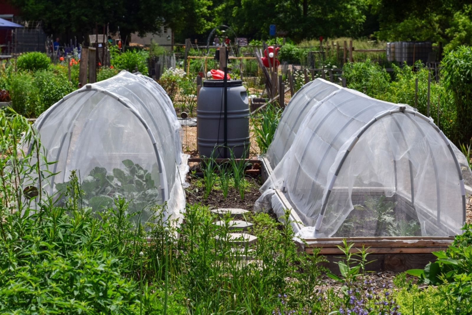 two Hoop Tunnels