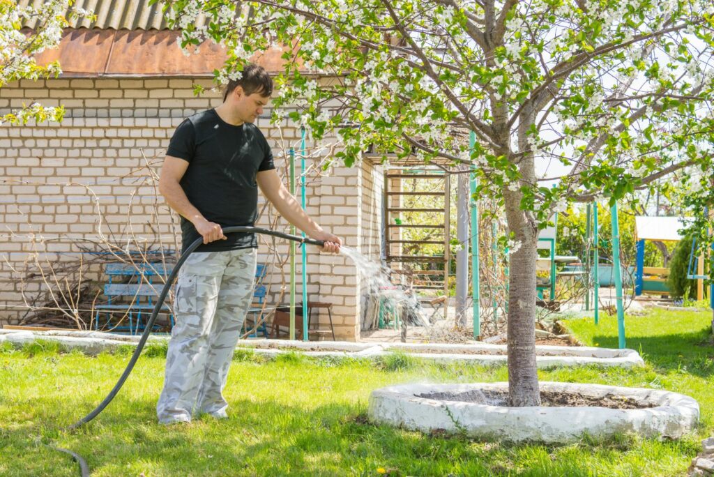 watering fruit trees