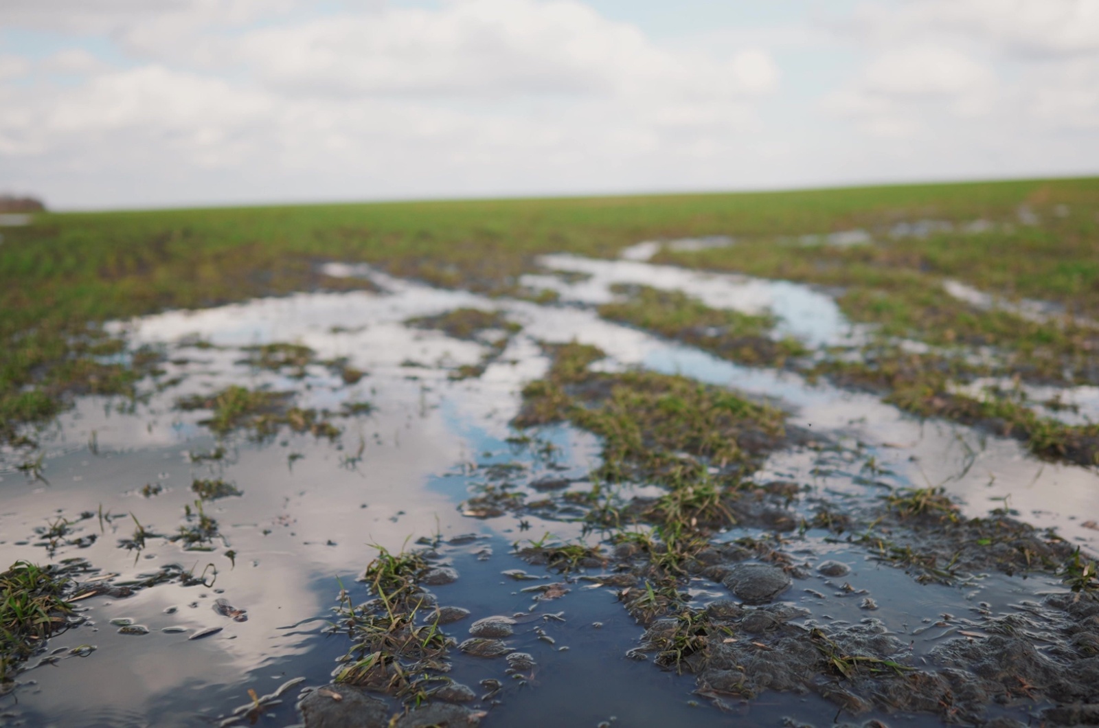 wet soil in garden