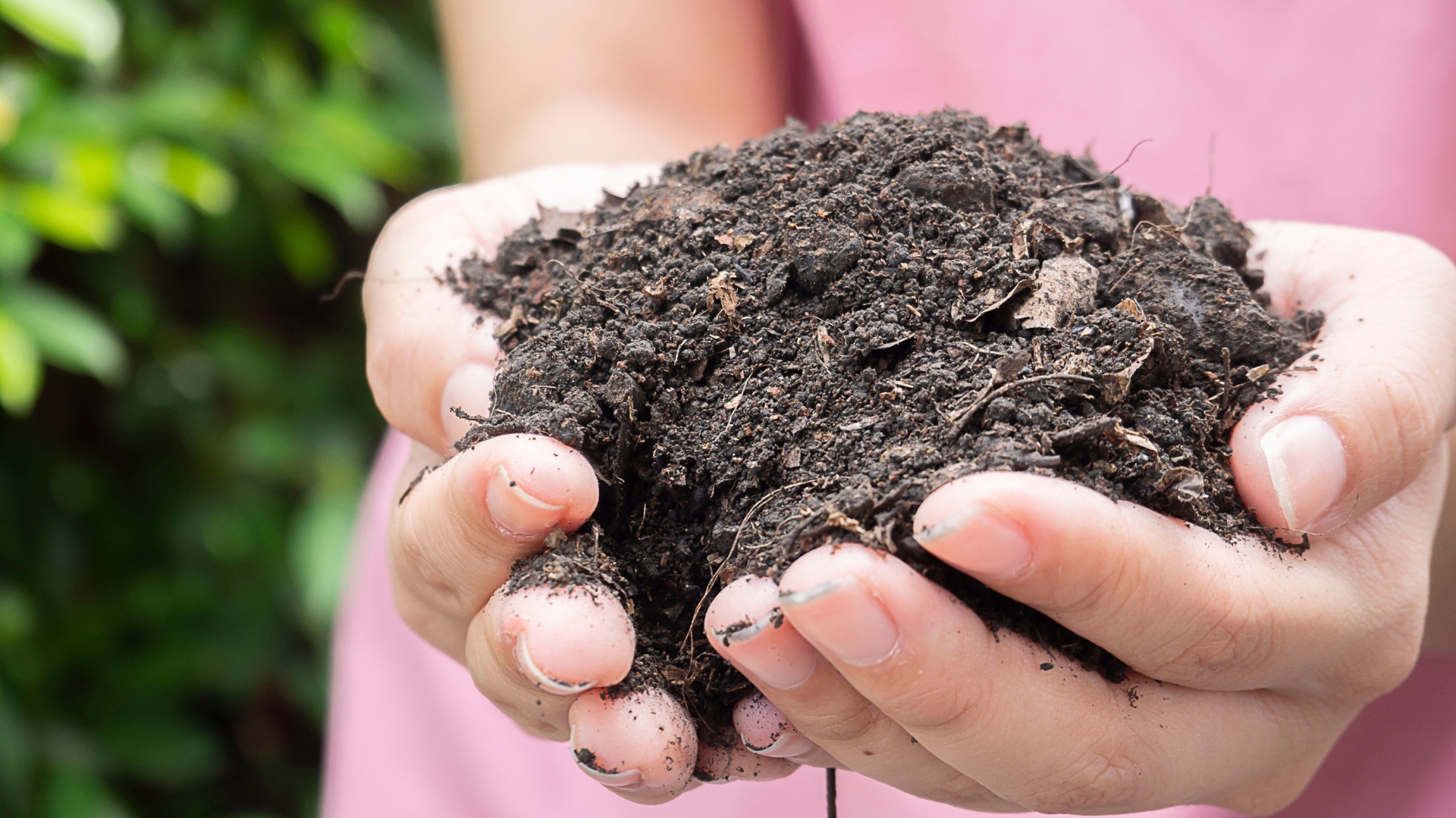 someone in pink tshirt holding soil in hands