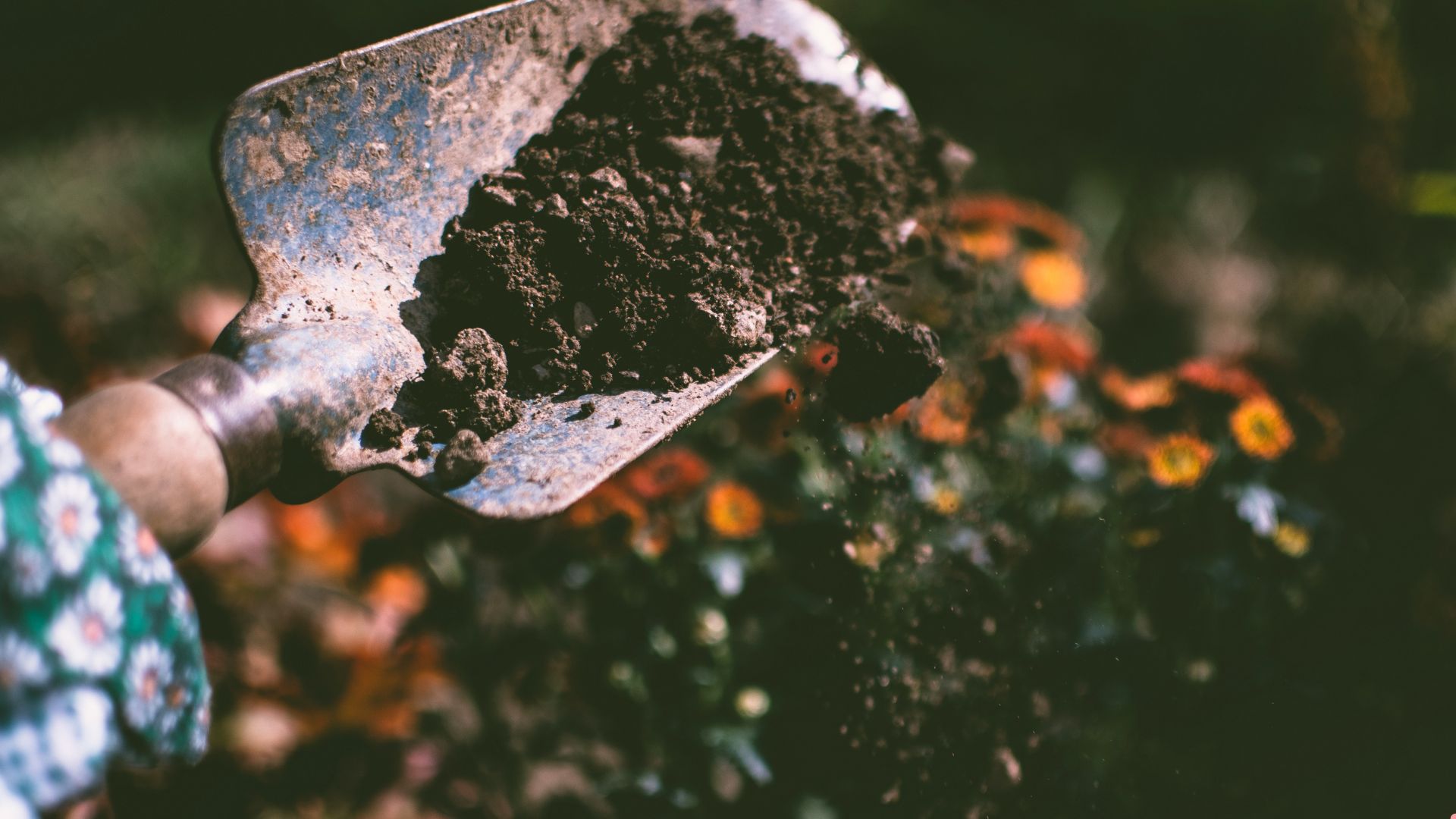 11 Game-Changing DIY Soil Hacks For A Beautiful And Thriving Garden