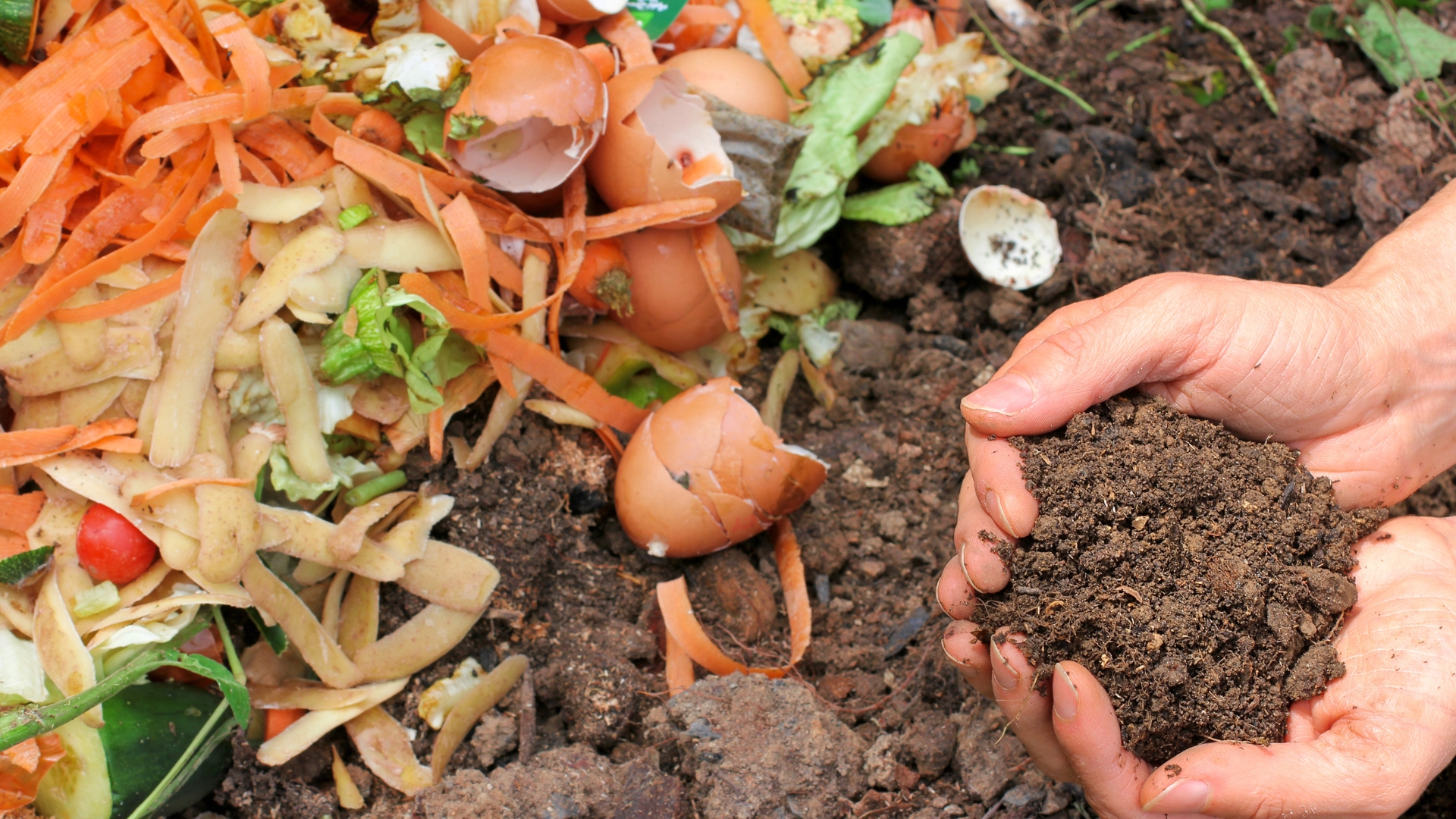 organic gardening hacks for beginners