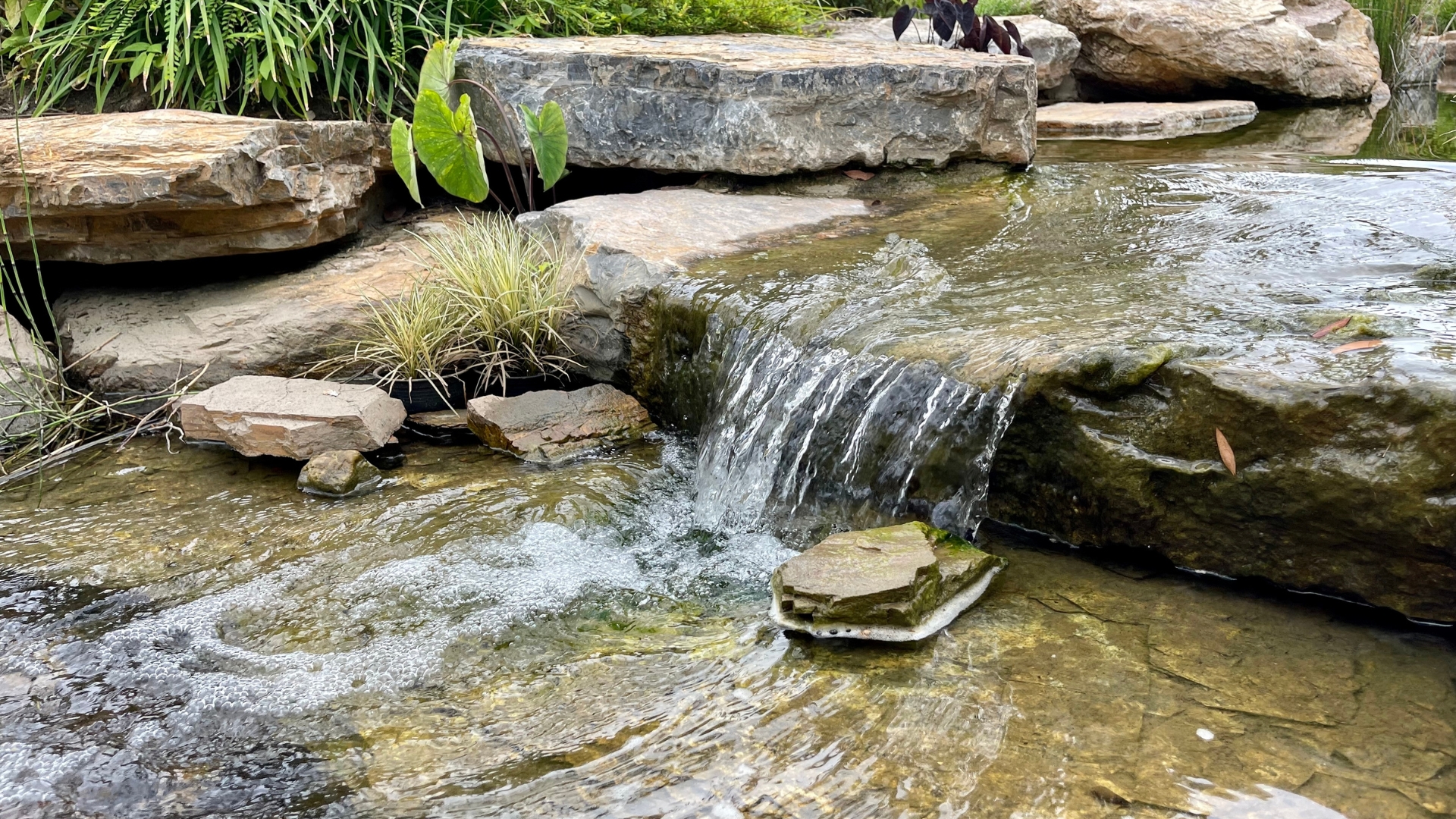 20 Backyard Waterfall Ideas to Transform Your Space