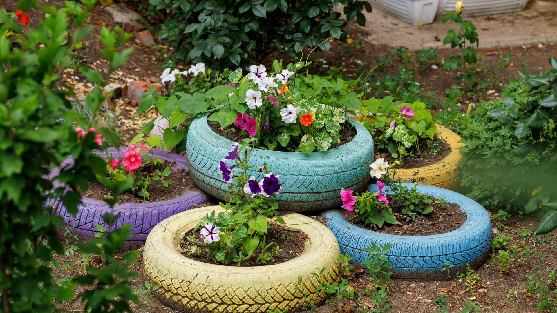 20 Cheap Landscaping Ideas That Will Transform Your Yard, According To Design Experts