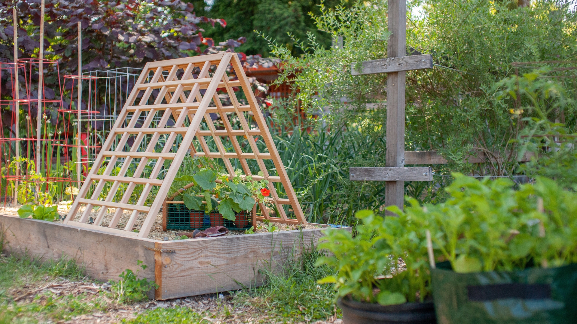 20 Clever Ways To Repurpose Old Lawn & Garden Items Into A DIY Plant Trellis